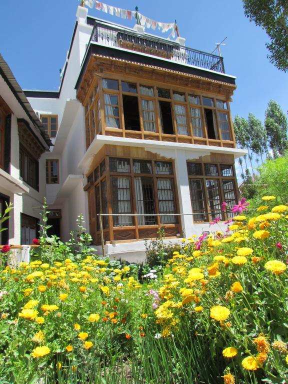 Ashoka Ladakh 호텔 레 외부 사진