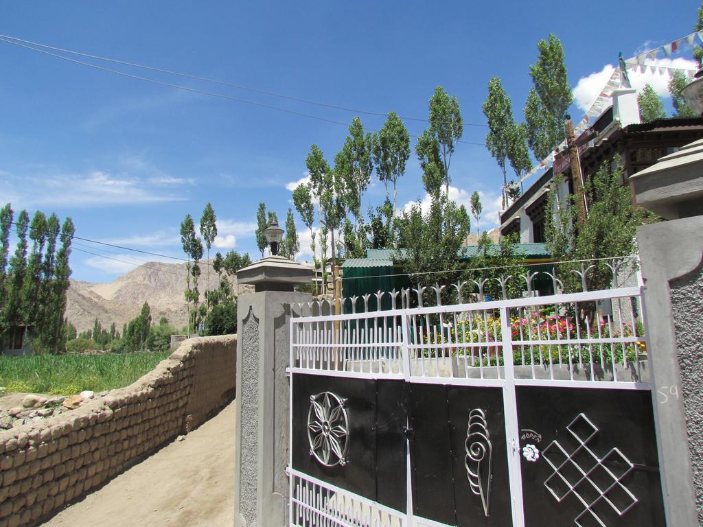 Ashoka Ladakh 호텔 레 외부 사진