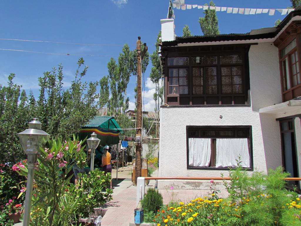 Ashoka Ladakh 호텔 레 외부 사진